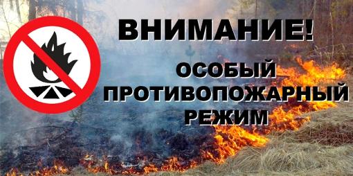 На территории сельского поселения Шапша с 9 июня 2020 года введен особый противопожарный режим 