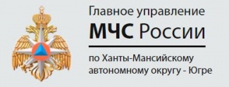 Порядок подачи жалобы о нарушении требований пожарной безопасности в Главное управление МЧС России по Ханты-Мансийскому автономному округу - Югре