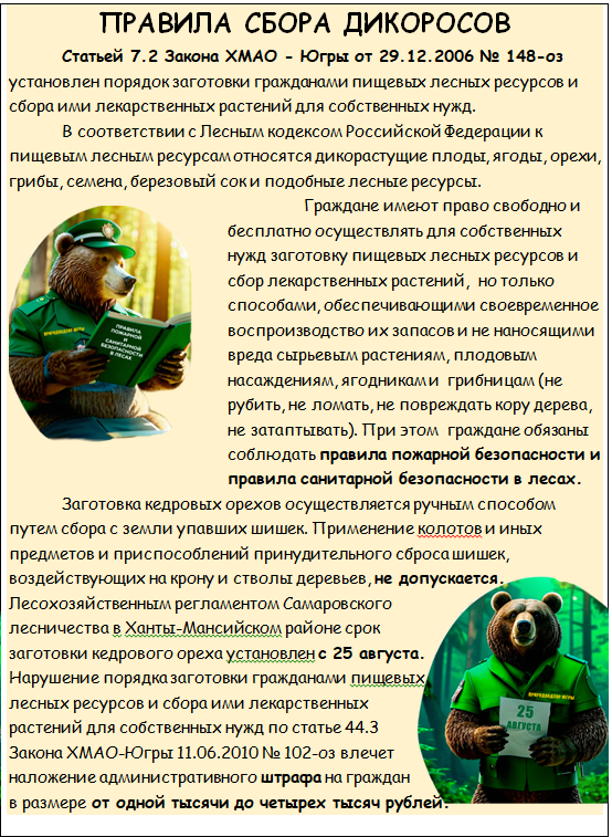 Правила сбора дикоросов.png