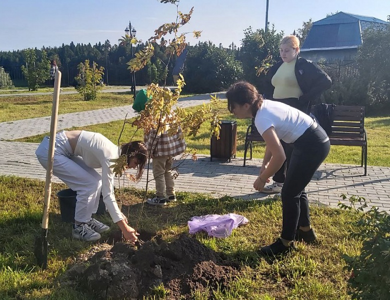 В д. Шапша прошла акция "Наше деревце"