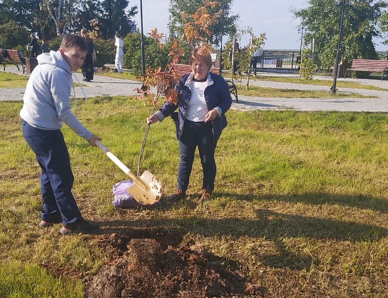 В д. Шапша прошла акция "Наше деревце"