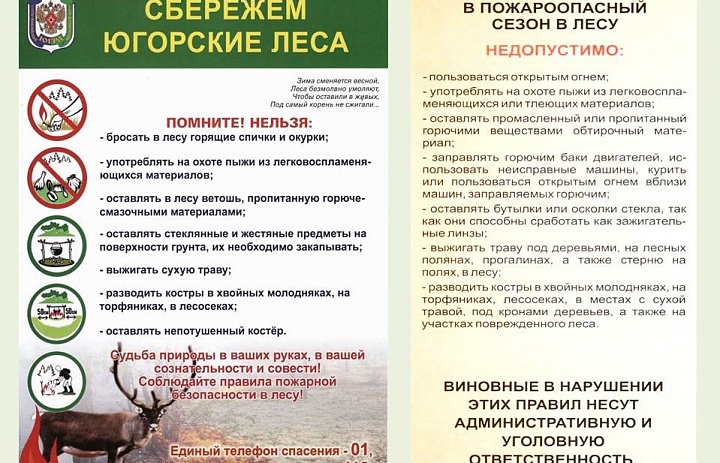 Памятка: сбережем югорские леса!