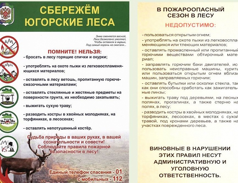Памятка: сбережем югорские леса!