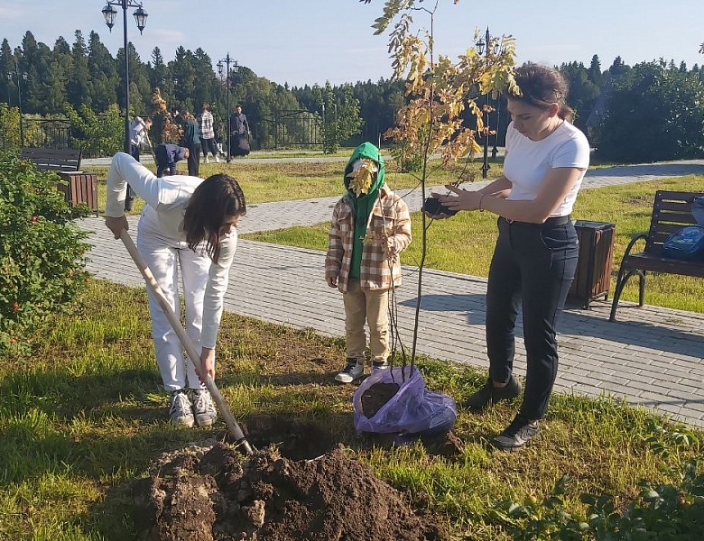 В д. Шапша прошла акция "Наше деревце"