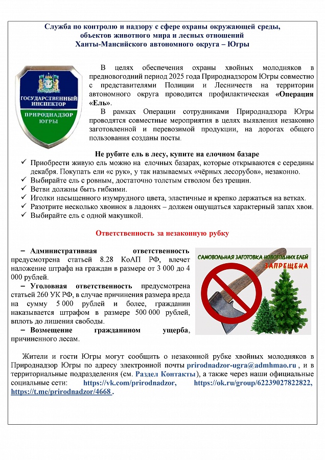 Памятка: операция "Ель"