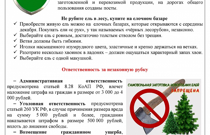 Памятка: операция "Ель"