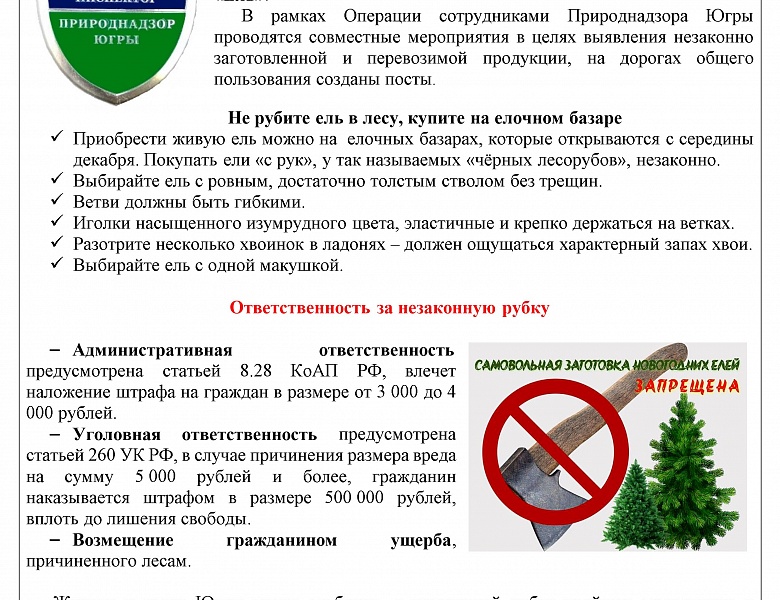 Памятка: операция "Ель"