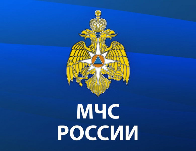 МЧС России разработано мобильное приложение – «Личный помощник при ЧС»