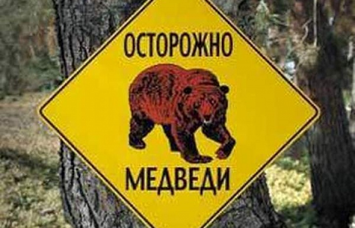 Памятка о правилах поведения в лесу и в местах возможного появления медведей