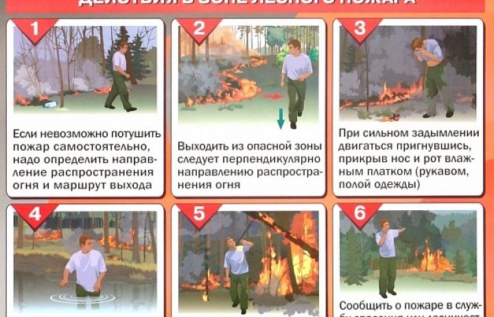 Памятка: действия при лесном пожаре
