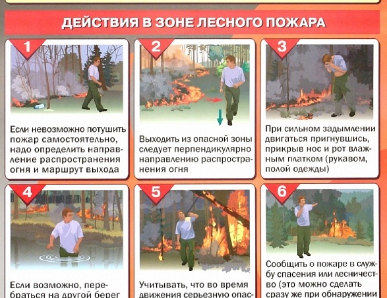 Памятка: действия при лесном пожаре